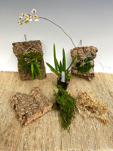 Orchid Slab Mounting Workshop